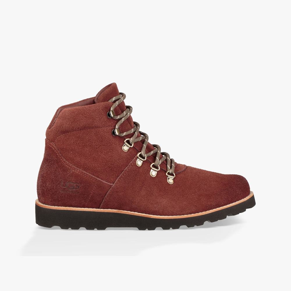 Bottes Classic UGG Hafstein Homme Bordeaux Soldes 238VBSNC